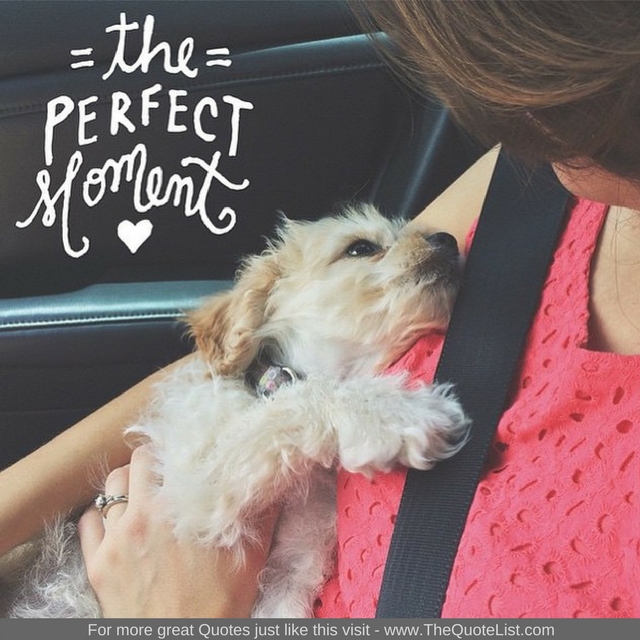 "The Perfect Moment" - Unknown Author