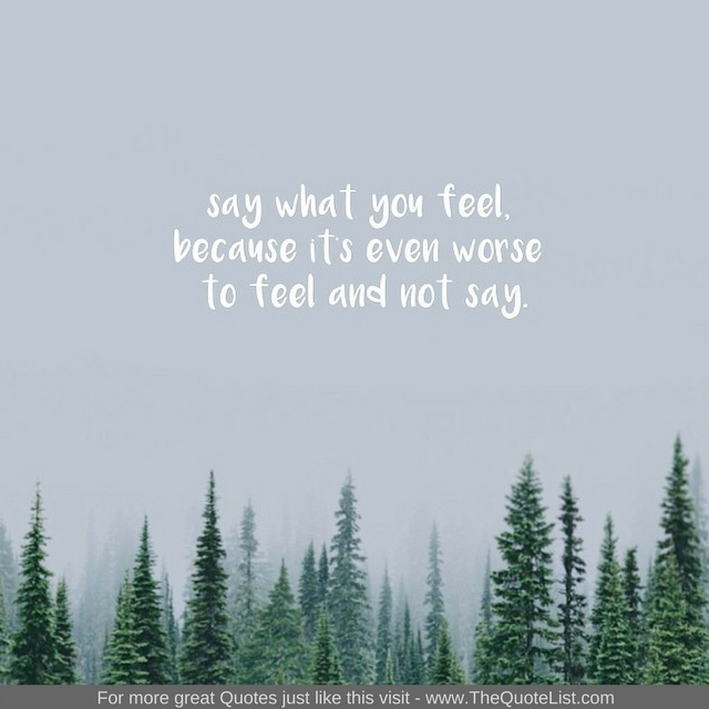 "Say what you feel, because its even worse to feel and not say" - Unknown Author