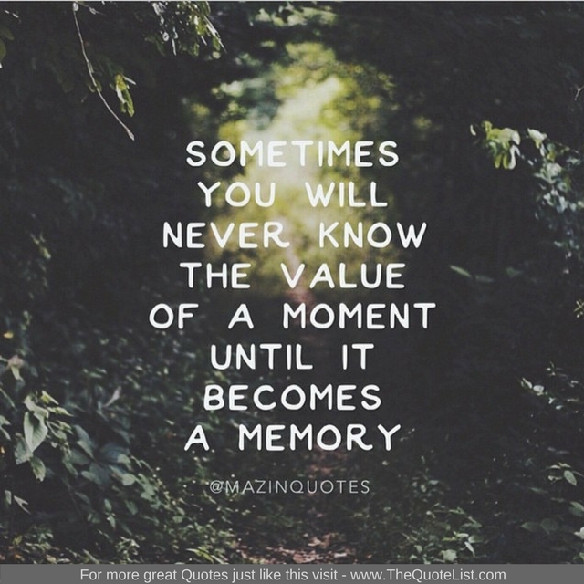 "Sometimes you will never know the value of a moment until it becomes a memory" - Unknown Author