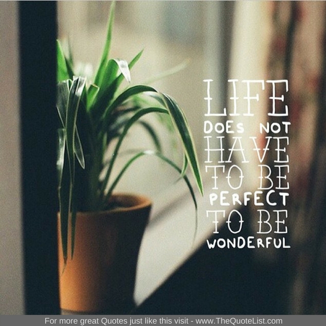 "Life does not have to be perfect to be wonderful" - Unknown Author