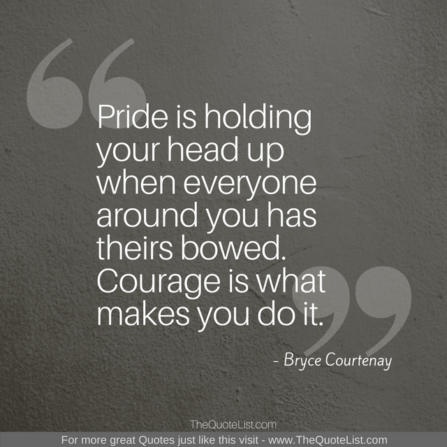 "Pride is holding your head up when everyone around you has theirs bowed. Courage is what makes you do it." by Bryce Courtenay