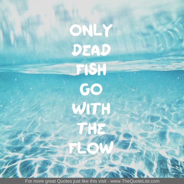 "Only dead fish go with the flow"