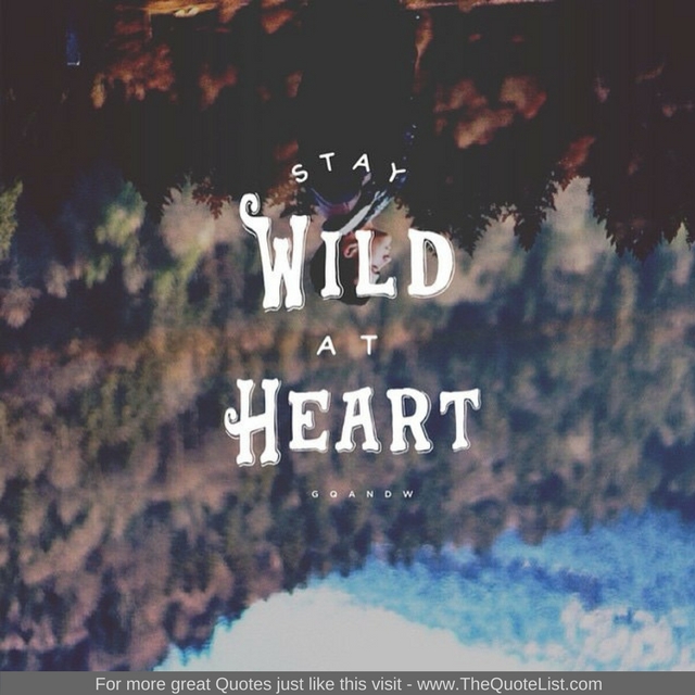 "Stay wild at heart"