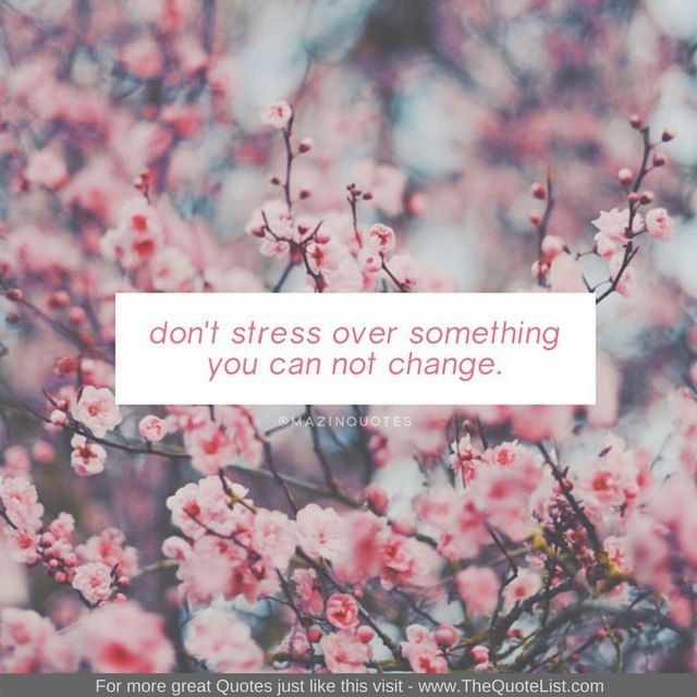"Don't stress over something you can not change" - Unknown Author