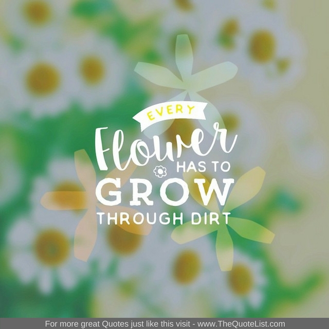 "Every flower must grow through dirt" - Unknown Author