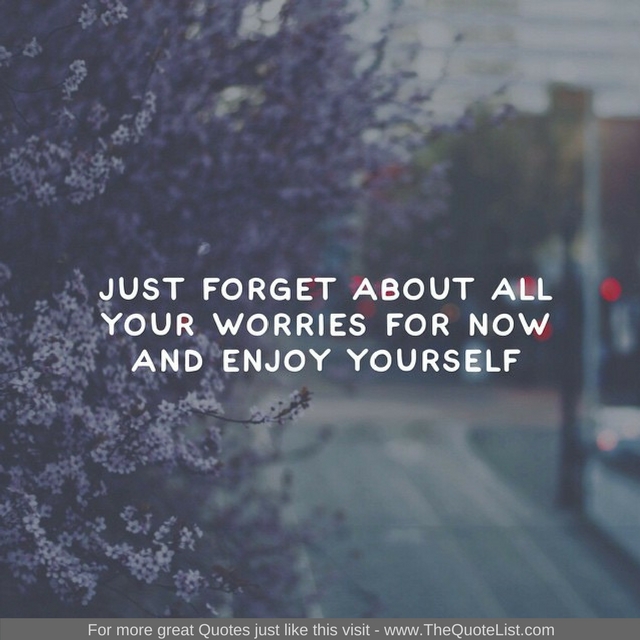 "Just forget about all your worries for now and enjoy yourself" - Unknown Author