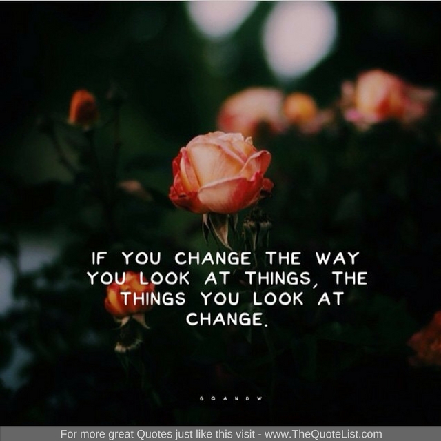 "If you change the way you look at things, the things you look at change" - Unknown Author