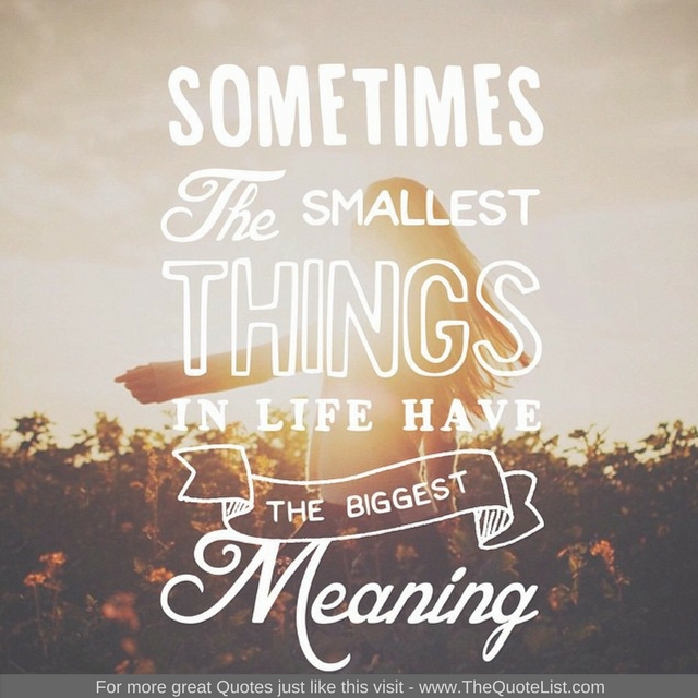 "Sometimes the smallest things in life have the biggest meaning"