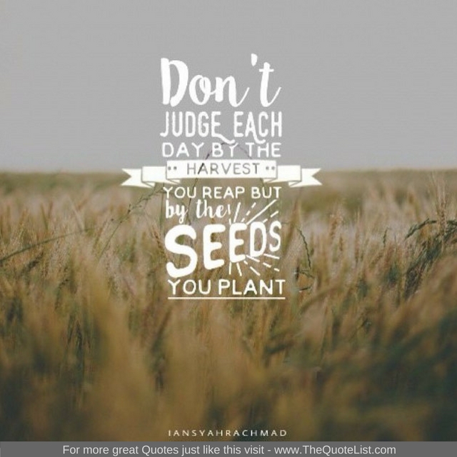 "Don't judge each day by the harvest you reap but by the seeds you plant"