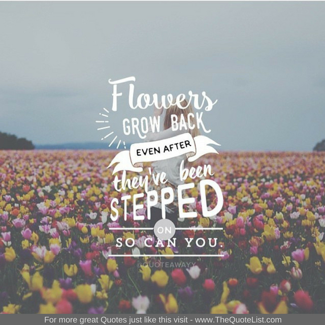 "Flowers grow back, even after they are stepped on. So can you"